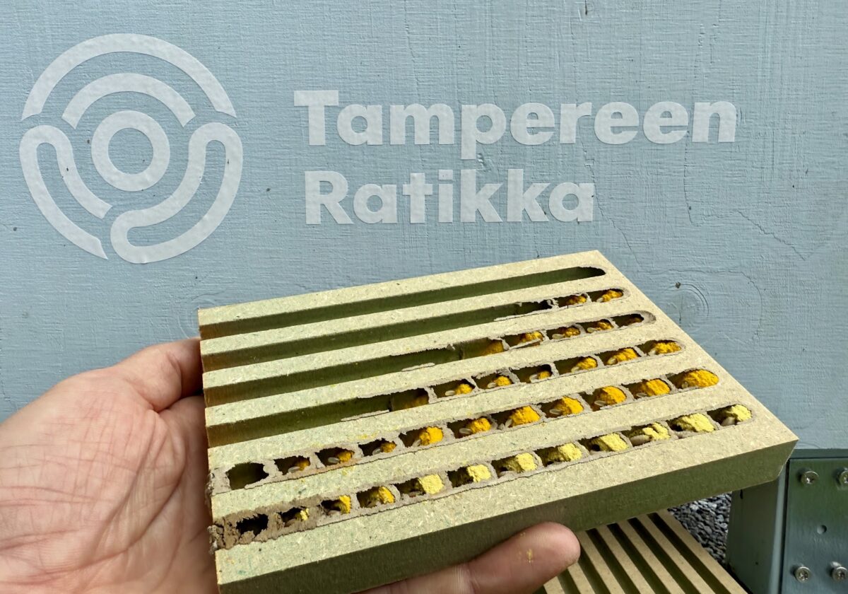 Raitiotietyömaan läheisyydessä kerätään tietoa rakentamisen vaikutuksista mehiläisten avulla.